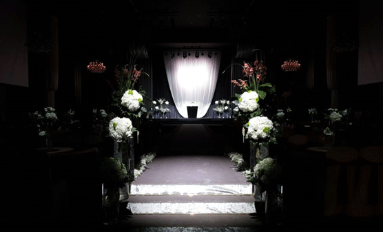 led theatre spotlight iluminación de desmalezado