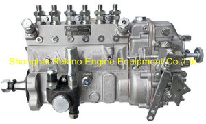13020436 B6AD506 NYC Nanyue Weichai fuel injection pump for WP6