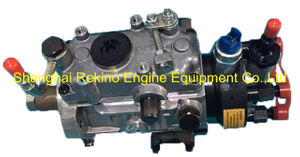 9523A050T 2644H065 Perkins Delphi Fuel injecion pump