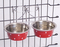 Stainless Steel Pet Feeder Dog Bowl Color Painting