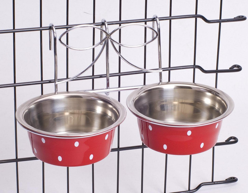 Stainless Steel Pet Feeder Dog Bowl Color Painting