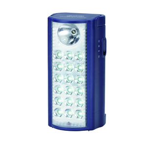 19 SMD led rechargeable light hot sell to South Africa