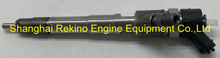 Common rail fuel injector 0445110520 5801594342