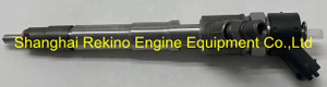 Common rail fuel injector 0445110520