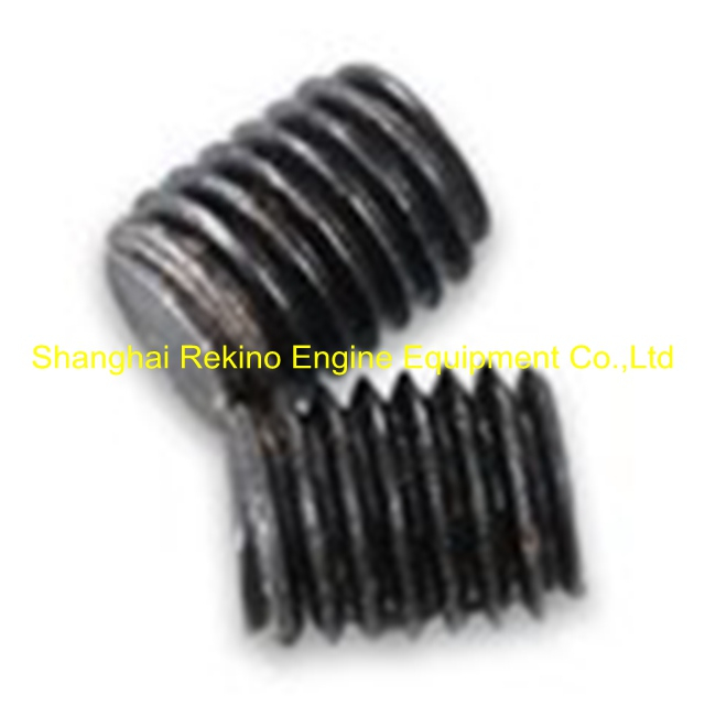 N.06.008A Screw plug Ningdong engine parts for N160 N6160 N8160