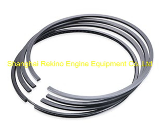 Zichai engine parts L250 LB250 LC250 Piston ring set L250-H05-002 L250-05-022 L250-05-023 L250-05-200