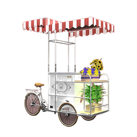 Customized Ice Cream Cart Gelato Ice Cream Freezer Display Cart for Popsicle Ice Cream Customizable Battery Power
