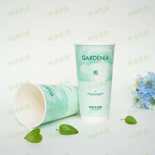 Hot Sale Wholesale Convenience Takeaway Water Based Coating Disposable Double Wall Paper Cup