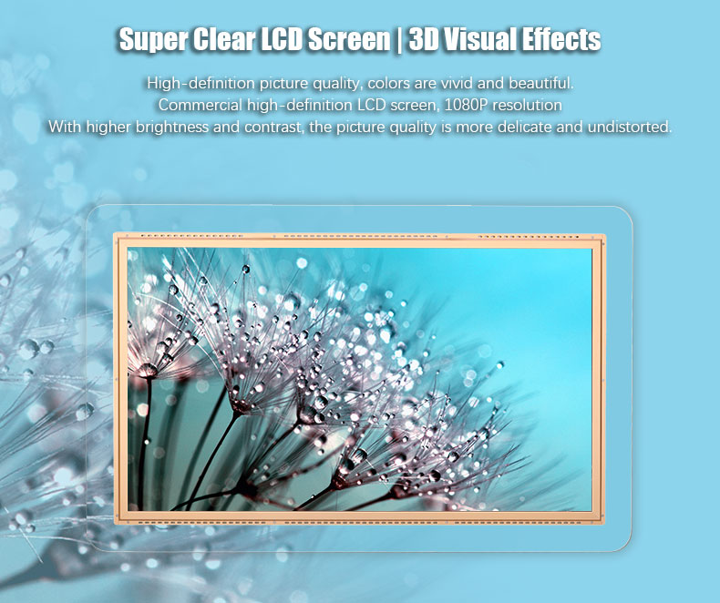 Dépensé-Clear-Suspension-Landscape-Double-LCD-Affichage