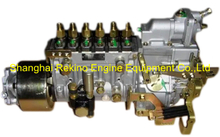 J4000-1111100-493 B6PN157-R NYC Nanyue Yuchai fuel injection pump