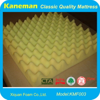 Vacuum Packing Soft Convoluted Foam