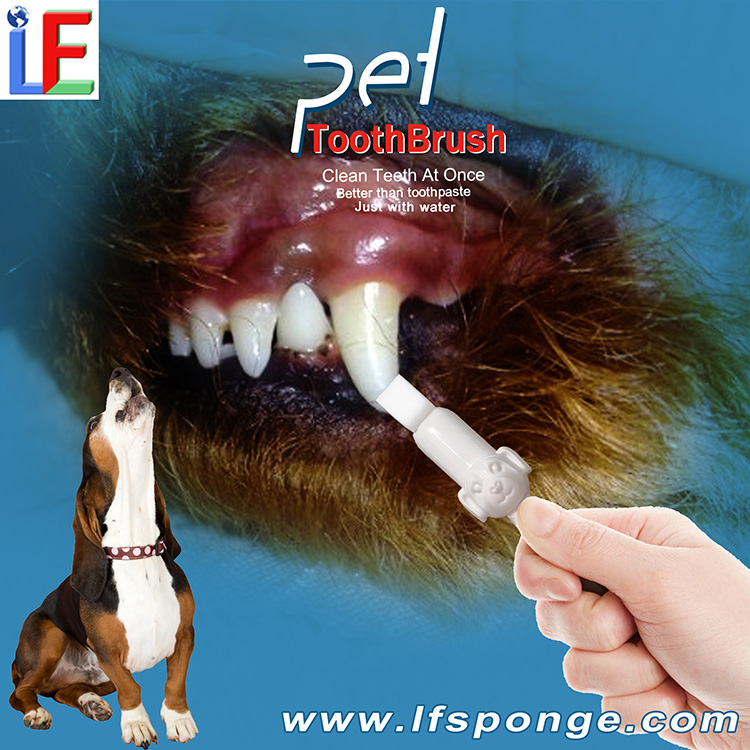 New Design Pet Toothbrush