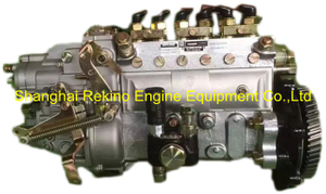 101605-810A ZEXEL fuel injection pump
