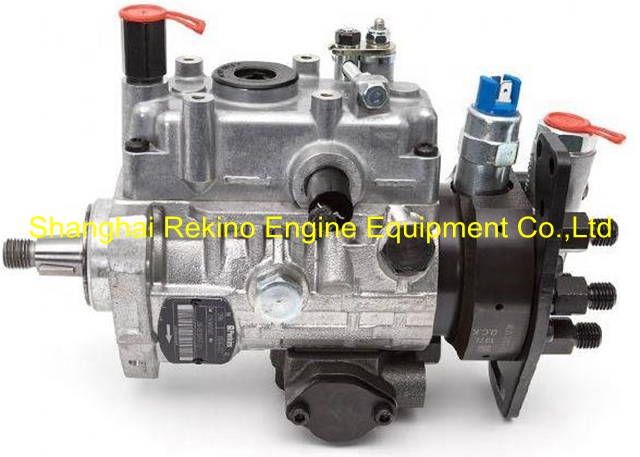 8924A492T 2643D641 998-227 Delphi CAT fuel injection pump