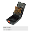 19PCS HSS Twist Drill Set