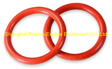 170Z.03.20.12 Rubber washer Weichai engine parts 6170 8170 170Z