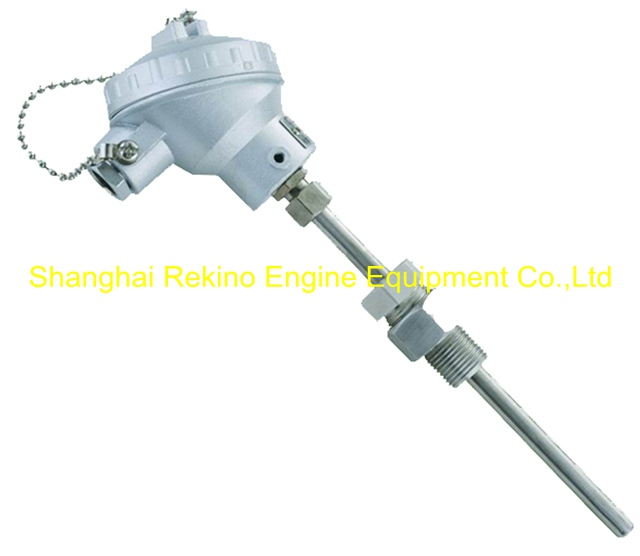 WRNK-238 JNDZ thermocouple
