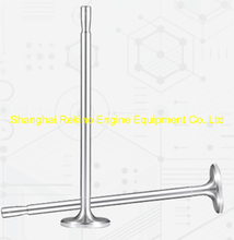 300.14.T01 Exhaust valve Zichai 6300 8300 engine parts