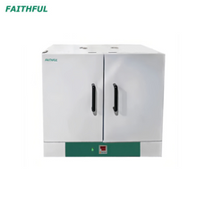 DGF-250B Drying Oven