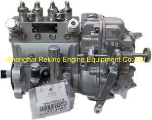 13021656 B4AD507 Weichai NYC Nanyue fuel injection pump for WP4
