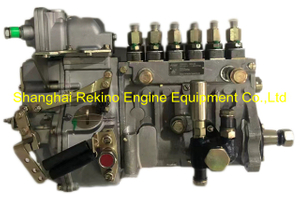 13054241 B6PN531A BH6PA NYC Nanyue Weichai fuel injection pump