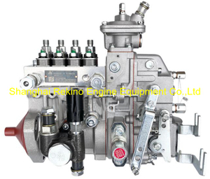 1TG301-1111100-493 B4PM921D NYC Nanyue Yuchai fuel injection pump