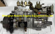 ZEXEL Fuel injection pump 101403-9042 101041-9430 1670019D21