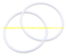 C62.10.02.0008 O ring Weichai engine parts CW6200 CW8200 CW200