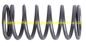 210-51-002 plunger Spring Zichai 210 engine parts