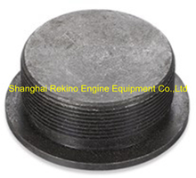 N.03.027 Water pipe plug Ningdong engine parts for N160 N6160 N8160