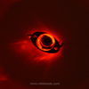 Eye Shaped Mini LED Fishing Lure Lights