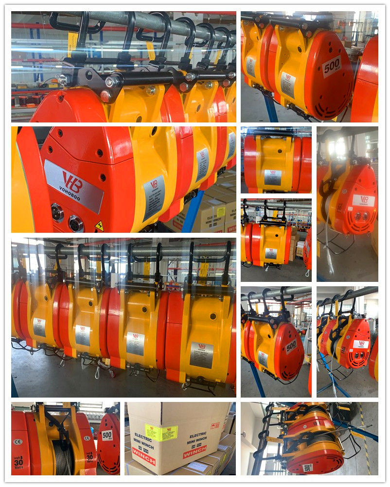 High Quality 160kg 180kg Mini Suspending Electric Winch 30m Scaffold Electric Winch 220V