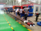 perforated plate/slotted liner