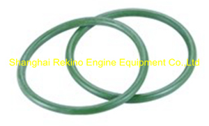 230.113.13 O ring for injector Guangchai marine engine parts 230