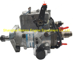 DB2831-5209 STANADYNE fuel injection pump