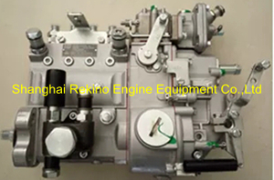 B4AD76 D0300-1111050B-493 Nanyue NYC Yuchai fuel injection pump
