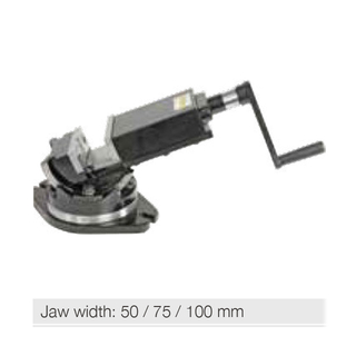 2 way precision tilting vise PTS