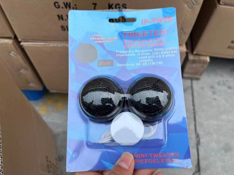 Hot selling new model factory price car tweeter