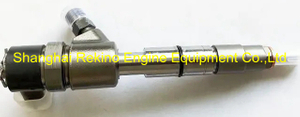 Piezo Diesel fuel injector 0445110316