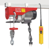 PA250D Electric Hoist Series