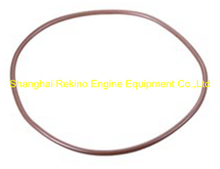 625001000041 O ring Weichai engine parts CW250 CW6250 CW8250