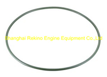 230.116.04 O ring Guangchai marine engine parts 230