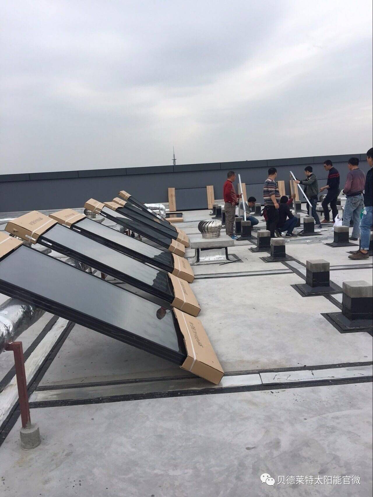 flat plate.jpg placa plana.jpg