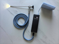 Portable 30W USB Type C LED light source with light cable for endoscopy in Human Veterinary or Industrial use