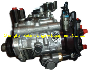 9520A424G 2644C311 Delphi Perkins fuel injection pump