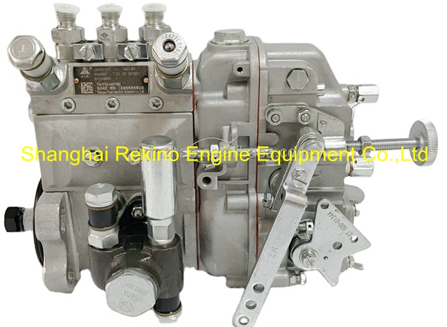 B3A502 13022111 NYC Nanyue Weichai fuel injection pump for 226B-3