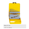 13PCS HSS Twist Drill Set