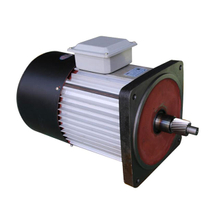 Hoist lifting motor