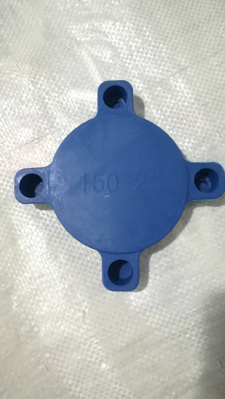 Plastic Pipe Fittings Caps and Plugs flange caps