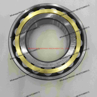 B120320001 BEARING